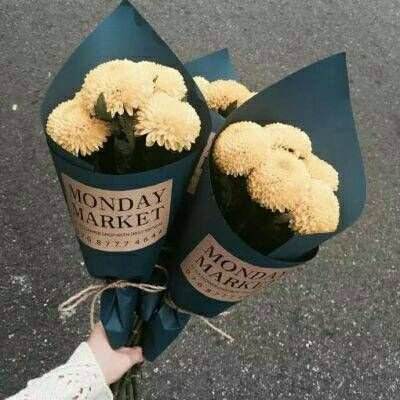 云开平台APP官方全站APP入口app下载